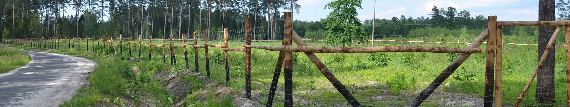 ogrodzenie leśne