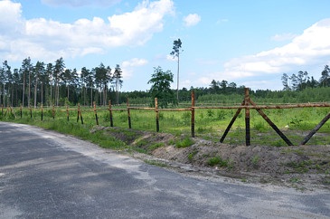 Ogrodzenie leśne