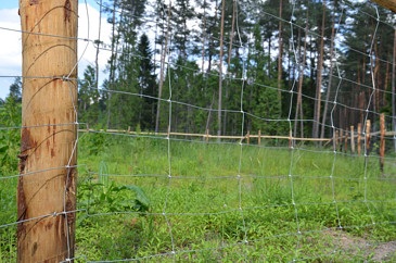 Ogrodzenie leśne