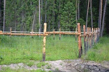 Ogrodzenie leśne