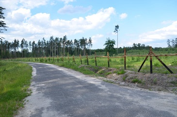 Ogrodzenie leśne