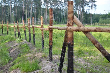 Ogrodzenie leśne