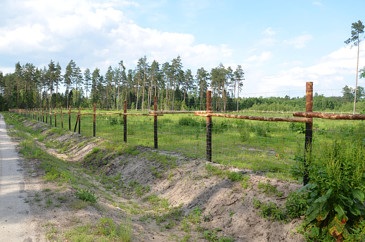 Ogrodzenie leśne