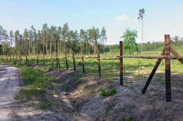 Ogrodzenie leśne