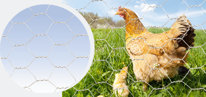Galvanised farming hex wire mesh (for aviaries)